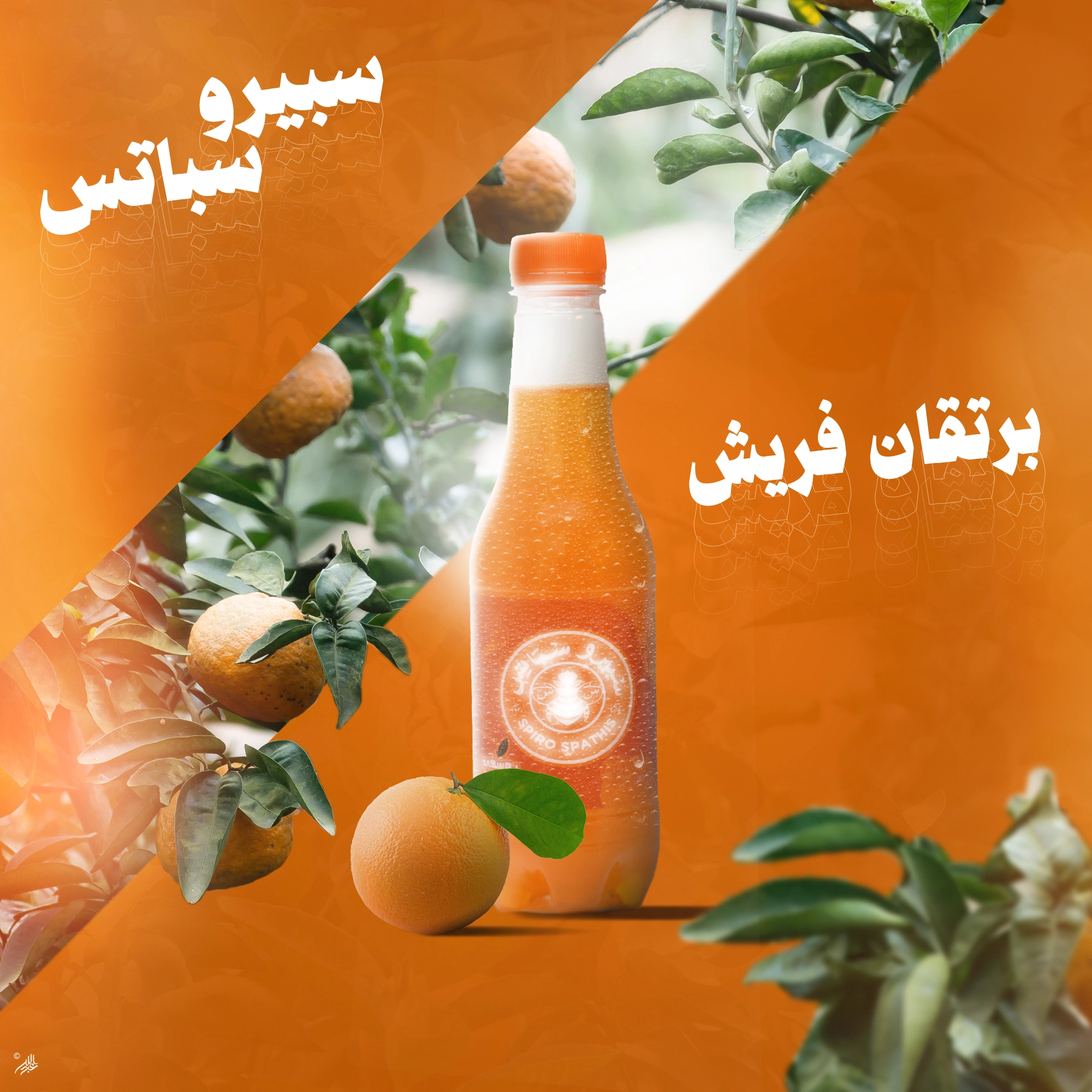 تصميمات إعلانية للسوشيال ميديا